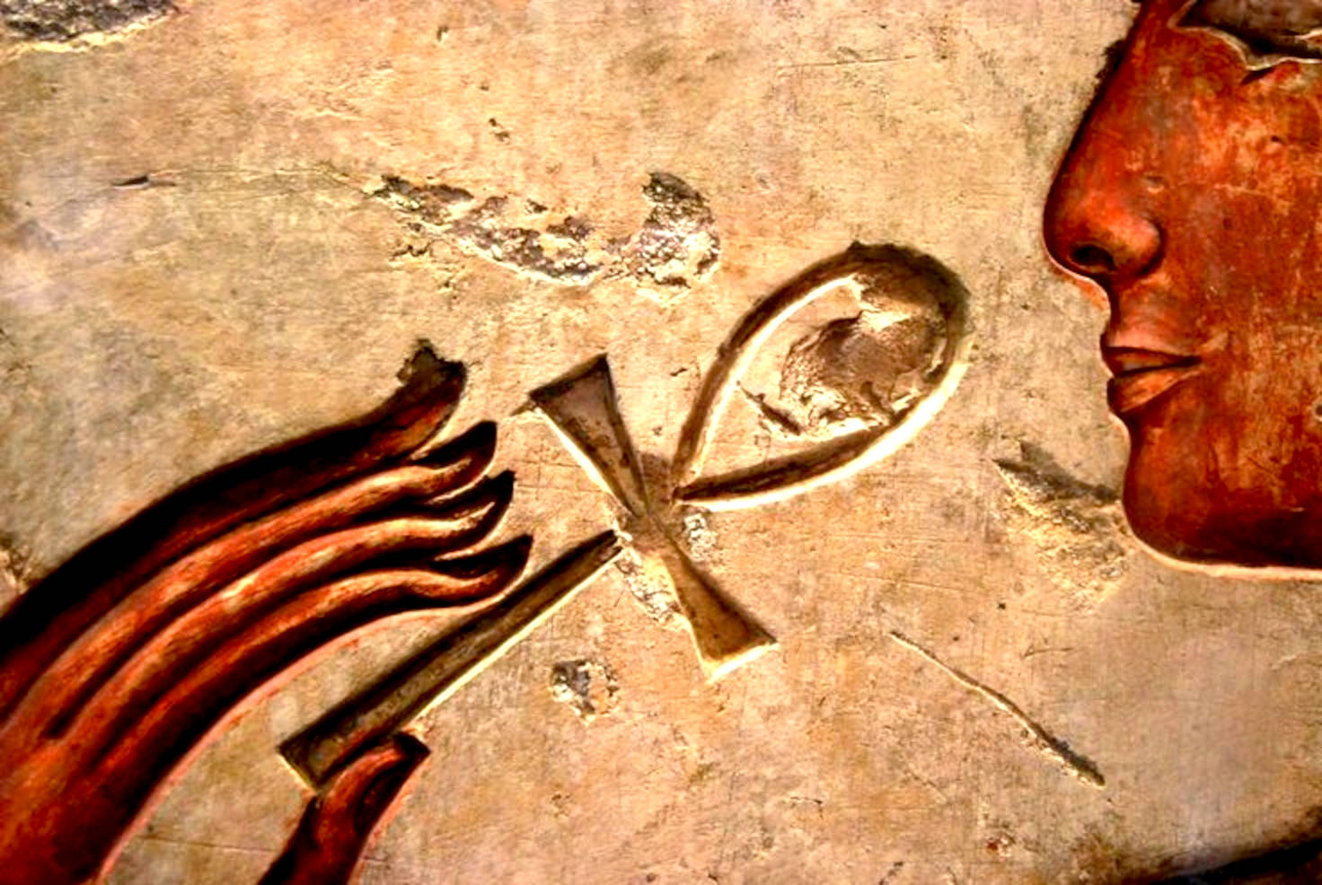 The Egyptian Ank is a symbol or life and rebirth